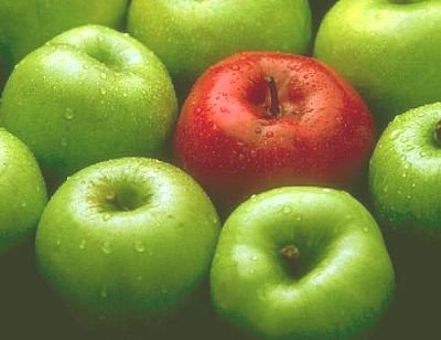 MANZANAS_1.jpg MANZANAS_1.jpg
