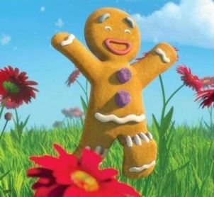 galletita_gengibre.JPG