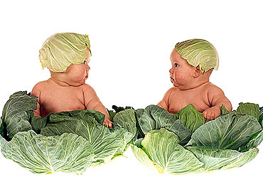 bebes.jpg