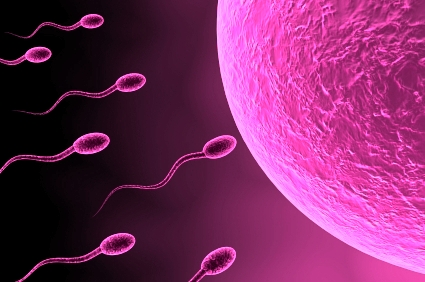 sperm.jpg