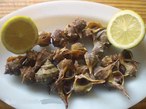 Cómo preparar los caracoles de mar o 