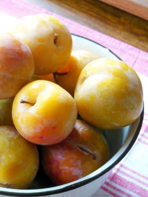 Dulces exquisitos aprovechando la última fruta del verano
