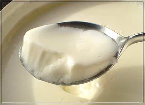 El  yogur: millones de bacterias que nos protegen