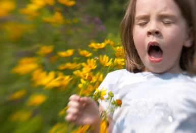 Enfermedades infantiles: las alergias