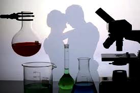 La relación entre la ciencia y el amor