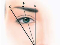 cejas_b.jpg