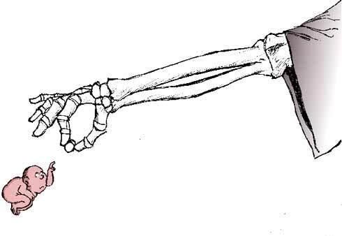 brazlo.jpg