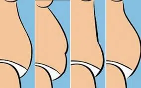 barriga