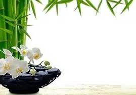 Aprende a utilizar el Feng Shui para perder peso. Parte II