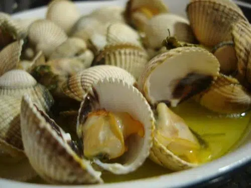 Berberechos frescos con vino blanco